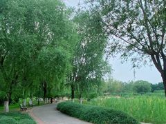 -永定河休闲森林公园