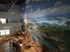 -自贡恐龙博物馆