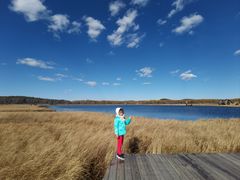 -塞罕坝国家级自然保护区