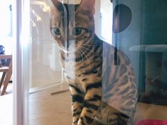 -Me Coffee下午茶艺术空间