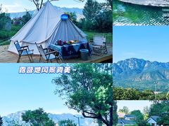 -禅宗少林·音乐大典