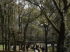-WeLope紫金山探险公园