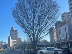 -三鹰之森吉卜力美术馆