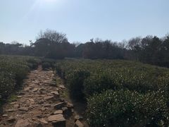 -虞山风景区