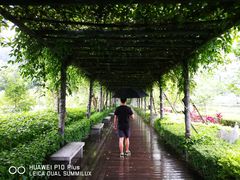 -大屏嶂森林公园
