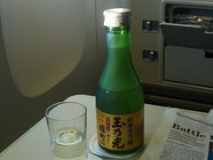 -新加坡航空公司(ION)