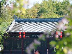 -棠湖公园