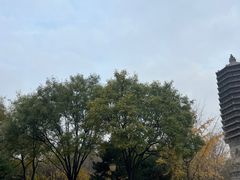 -玲珑塔公园