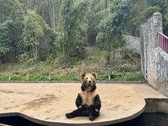 -贵州森林野生动物园