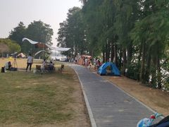 -金银湖国家城市湿地公园