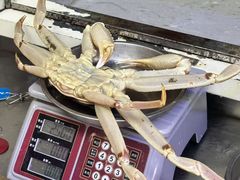-震海贝烤贝·民俗特色店(延吉总店)