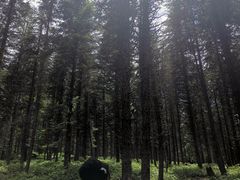 -硗碛藏寨·神木垒景区