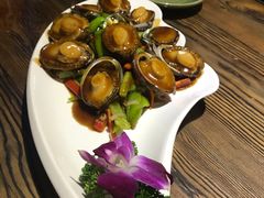 -鲁前海沿儿