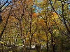 -云峰山自然风景区