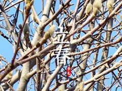 -石家庄市植物园