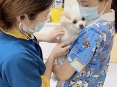 -康成宠物医院24H·CT·核磁共振