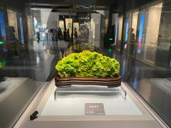 -安徽省地质博物馆