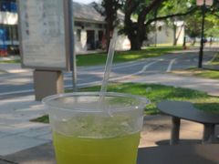 檸檬甘蔗汁-东海岸人工湖美食村