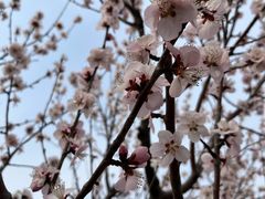 -白水寺森林公园