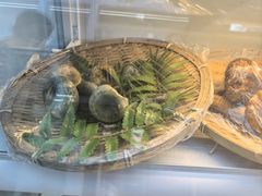 -鲜菌江湖正宗野生菌火锅