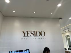 -YESIDO椰岛造型