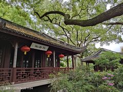 -上海醉白池公园