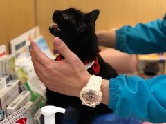 -pd派德宠物中心医院24H急重症·眼科中心·血液透析中心(嵩山北路店)