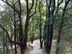 -梧桐山风景名胜区