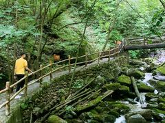 -青峰峡国家森林公园