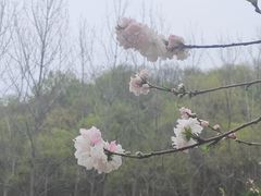 -南山风景名胜区