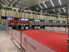 -西沃古尔·拉姆古兰爵士国际机场