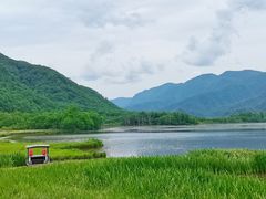 -大九湖