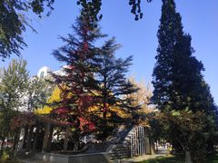 -北京邮电大学-清真餐厅