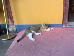 -龙华素斋(龙华路店)