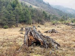 -硗碛藏寨·神木垒景区