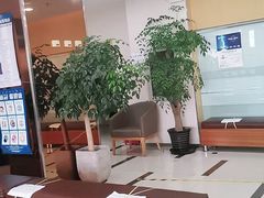 -慈铭体检(洋桥分院)