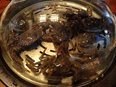 -蟹谢蒸鲜自助餐厅