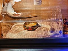 -华声天桥民俗文化园