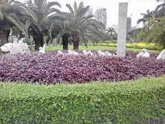 景点-白鹭洲公园