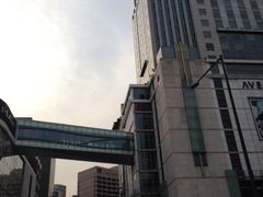 -乐天免税店(明洞店)