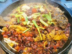 -老板恋上鱼(恒隆广场店)