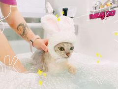 -comecome来吧宠物(奥克斯中心店)