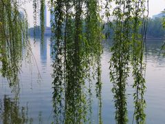 -朝阳公园