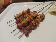 -金刚山烧烤(红旗大街店)