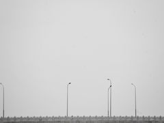 -绿堤公园