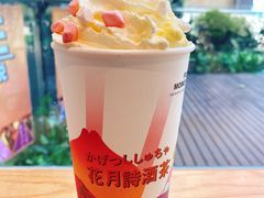 伏见桃山-伏小桃(明瓦廊店)
