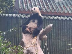 -广州动物园