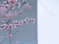 -北京华联购物中心(天通苑店)