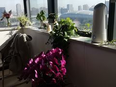 -洪焱重庆老火锅(万福花园店)