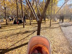 -森林公园(尖草坪区)